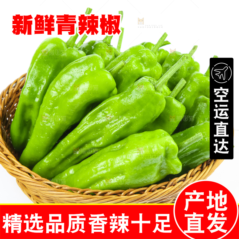 白底上放着一篮青辣椒