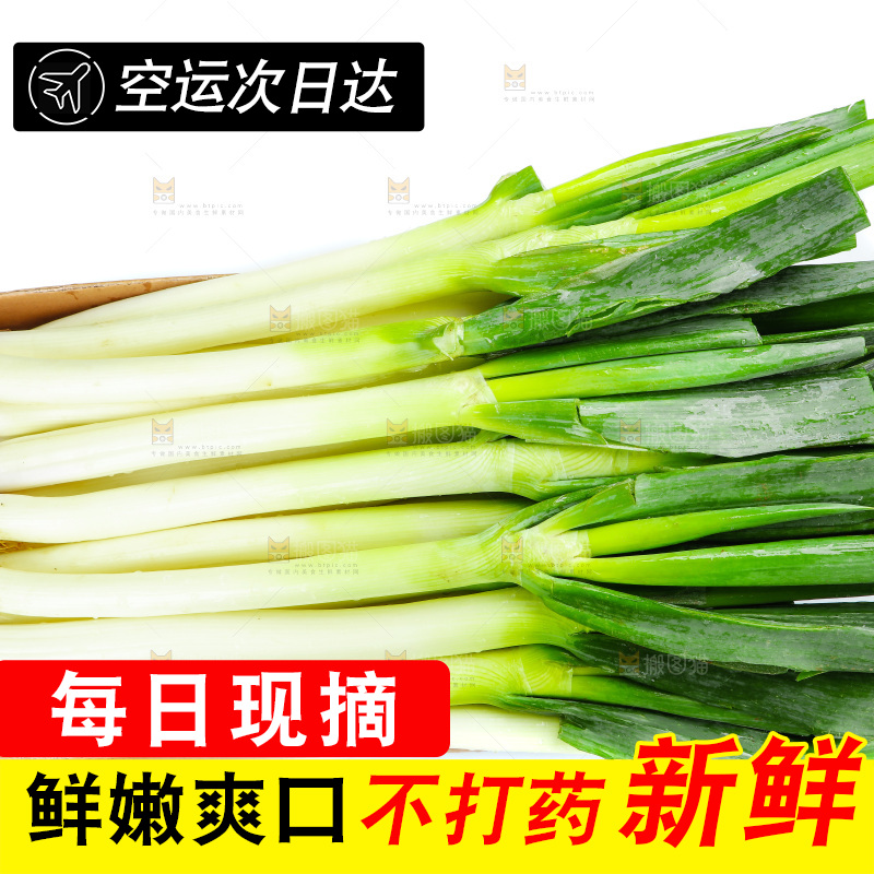 白底上的大葱