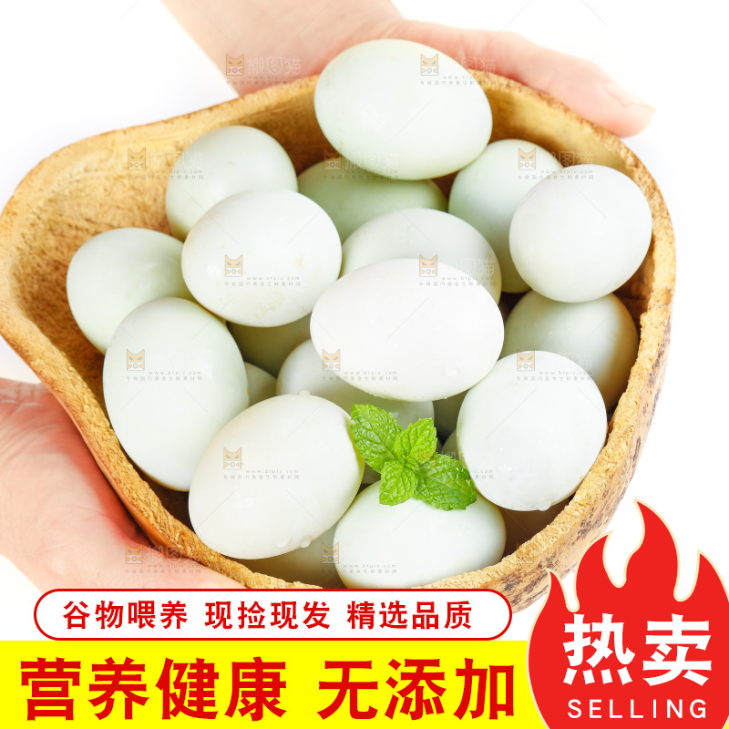 白底上的鸭蛋