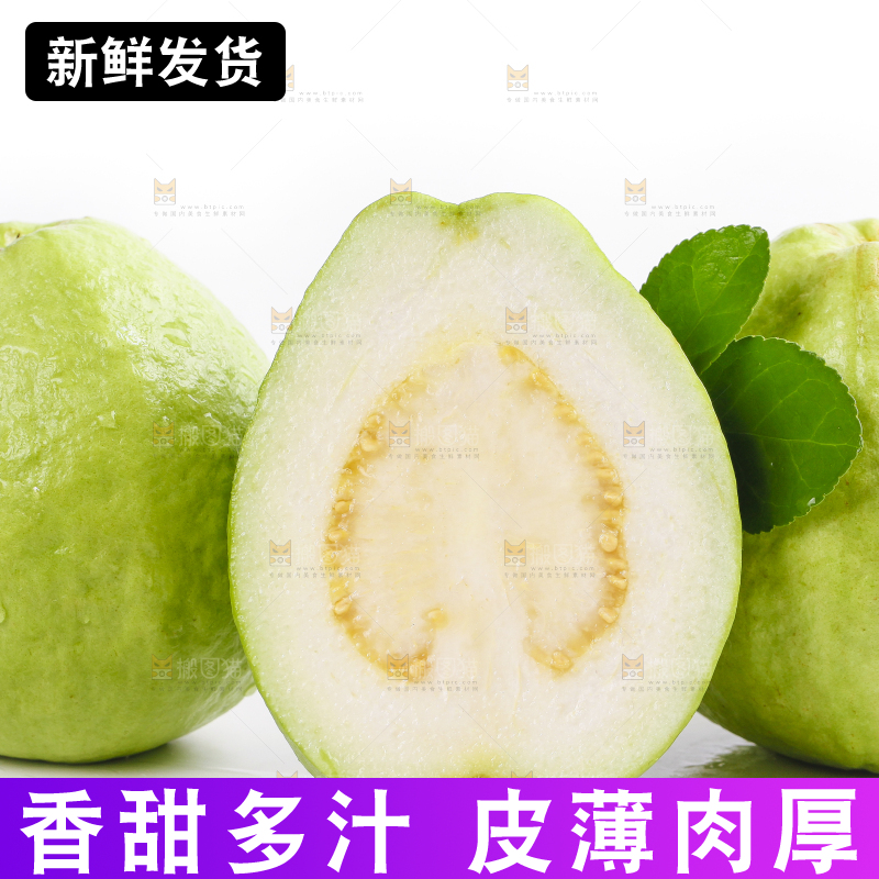 白底上的广西白心芭乐