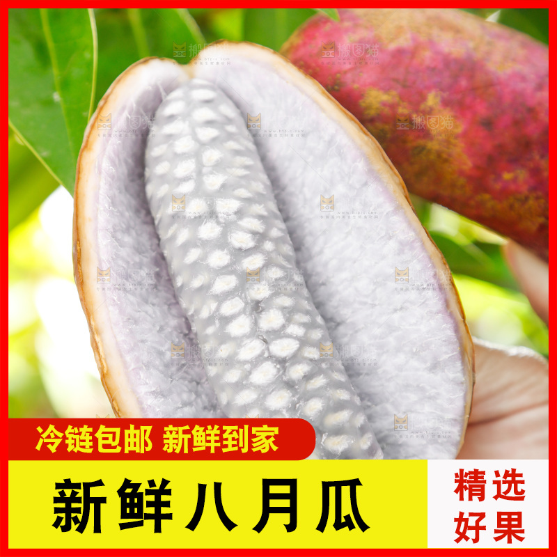 手里拿着新鲜八月瓜