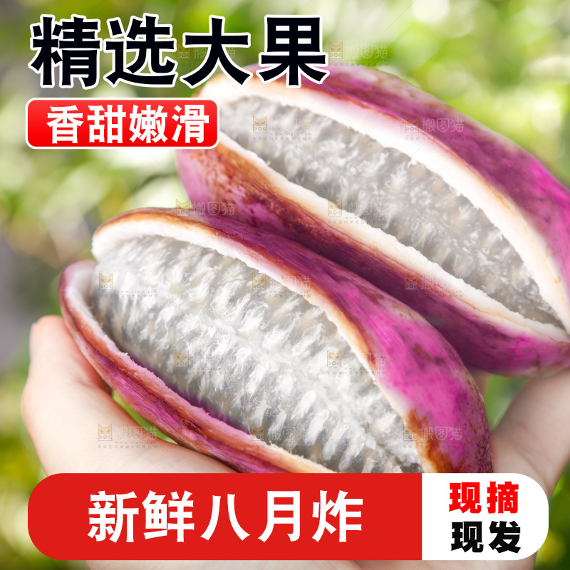 手里拿着新鲜八月瓜