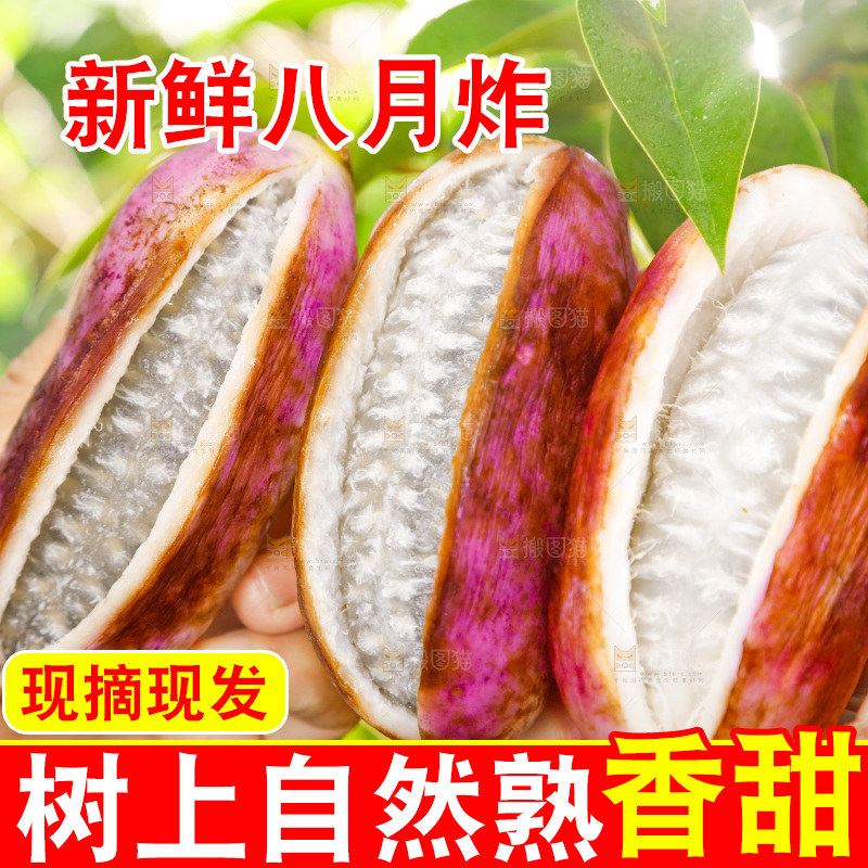 手里拿着新鲜八月瓜