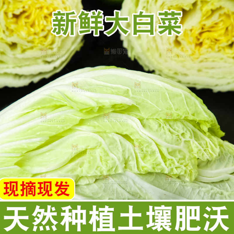 黑底上放着大白菜