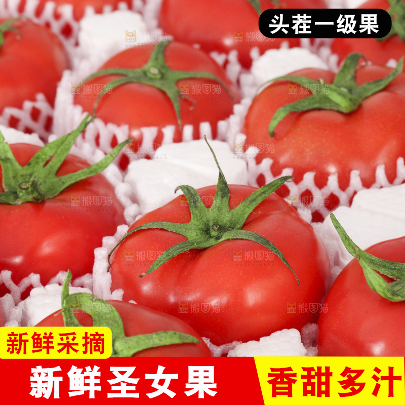 白底上放着新鲜圣女果