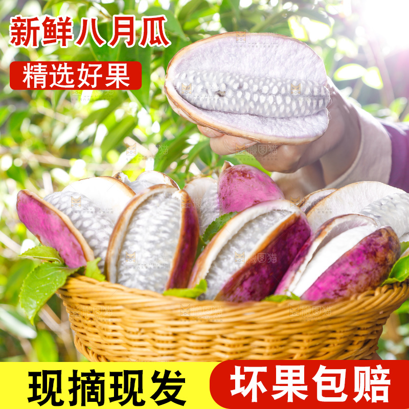 手里拿着新鲜八月瓜