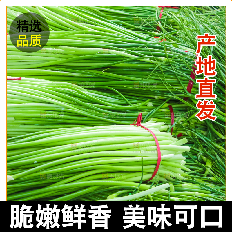 一堆新鲜蒜苔