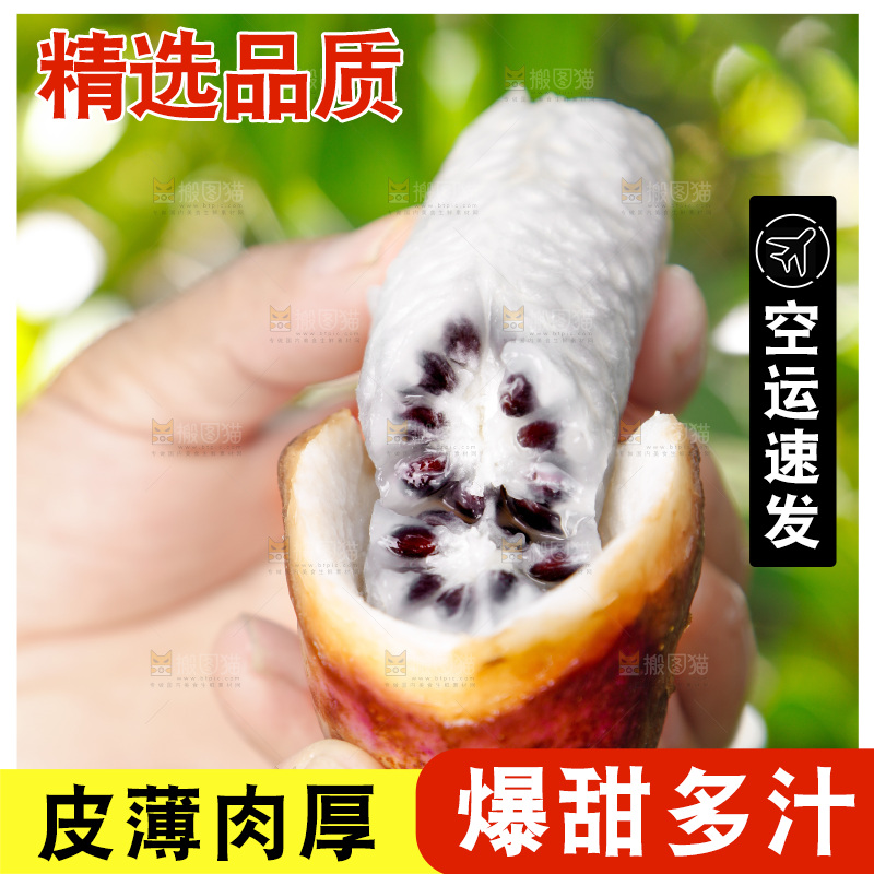 手里拿着新鲜八月瓜