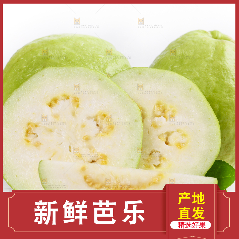 白底上的广西白心芭乐