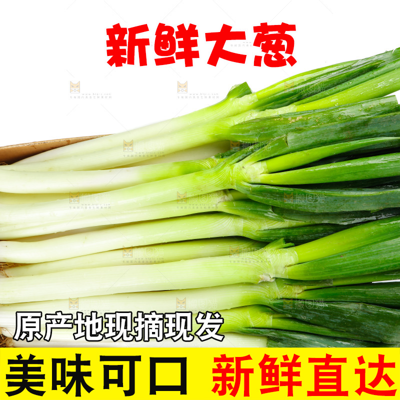 白底上的大葱