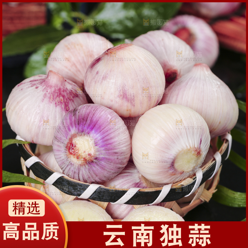 黑底上放着云南紫皮独头蒜
