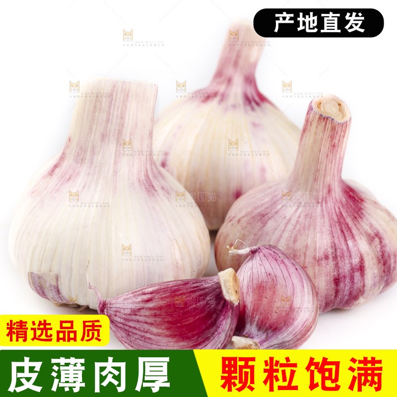 白底上放着新鲜紫皮大蒜头