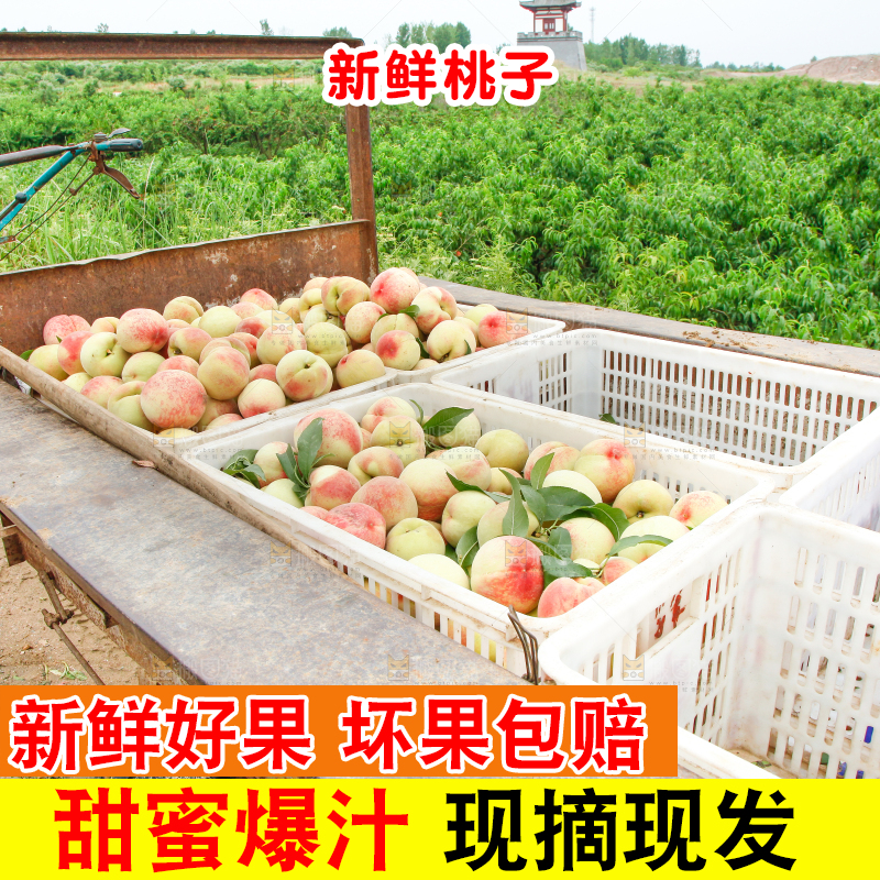 车上放着桃子