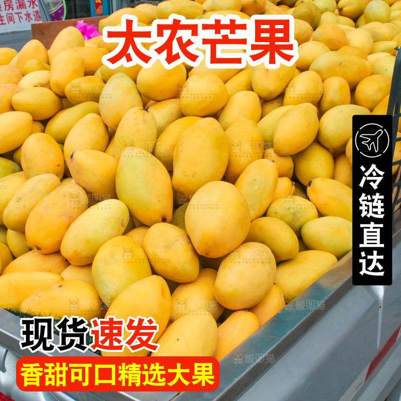 车子上的芒果