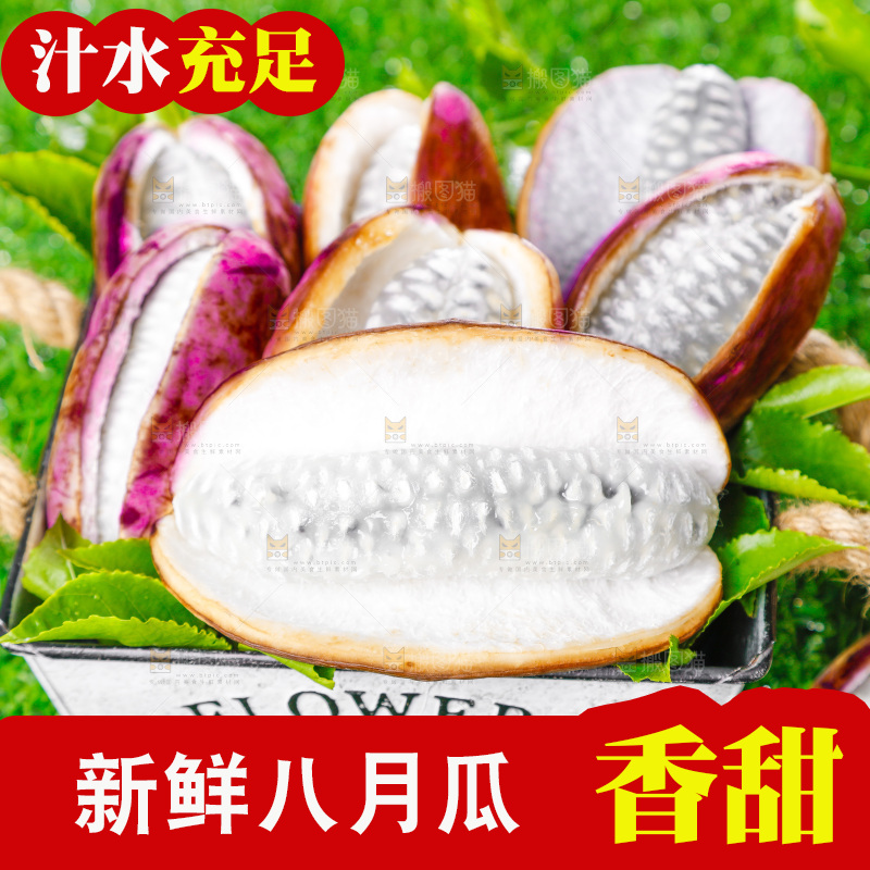 草地上的八月瓜
