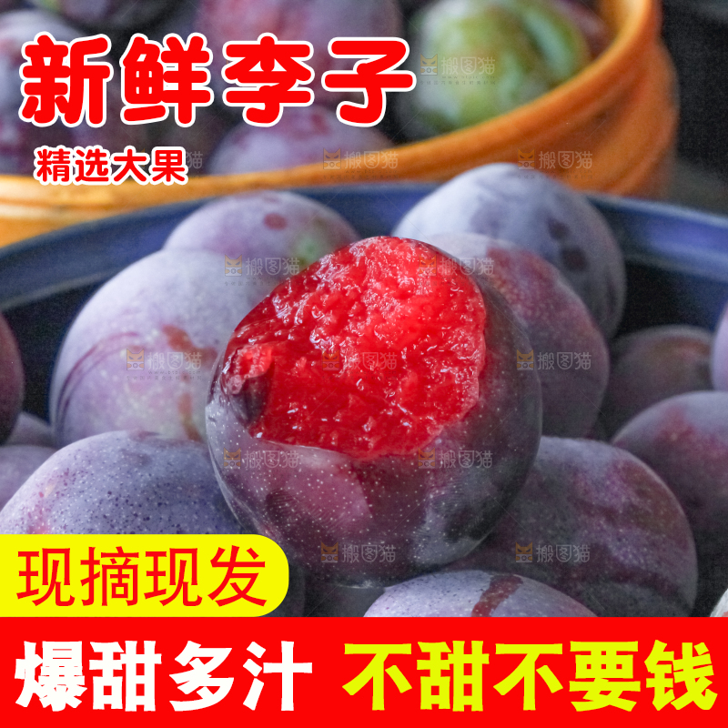 框子里装着红布林