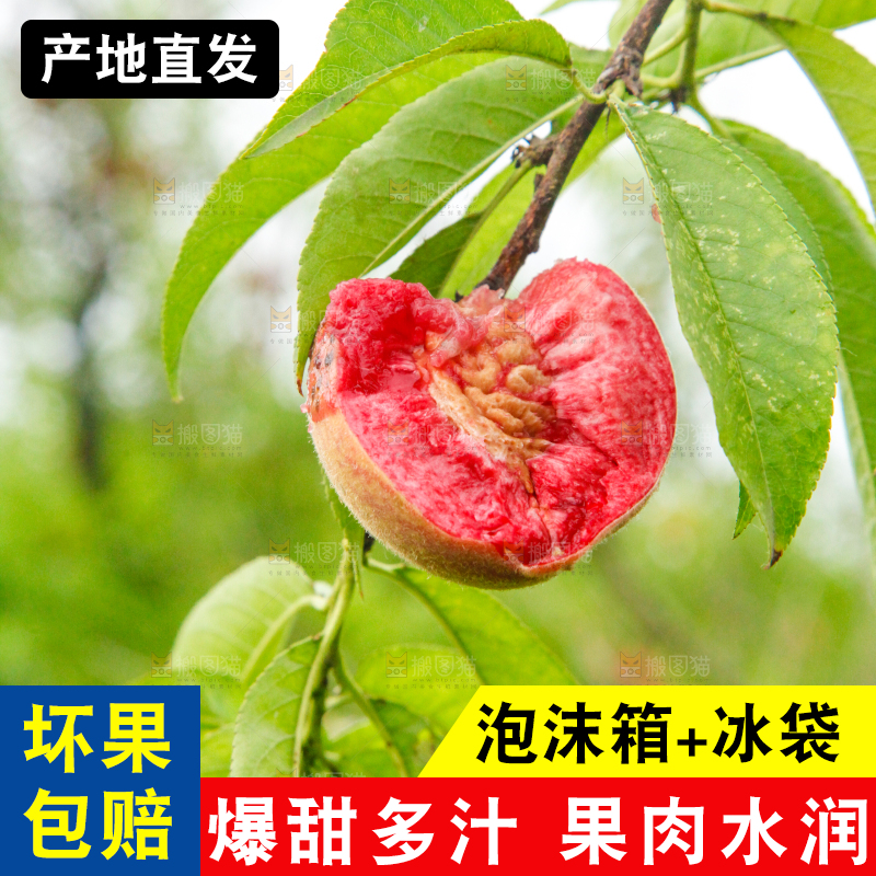 手里拿着桃子