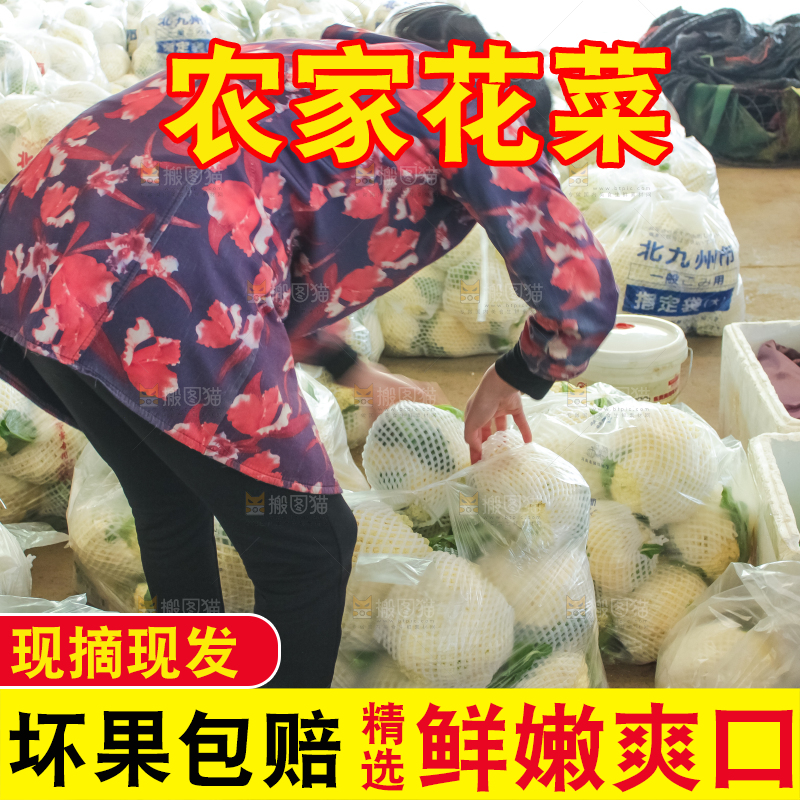 袋子里装着花菜