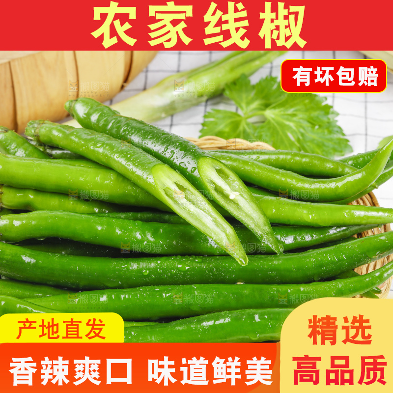 篮子里堆放着青线椒