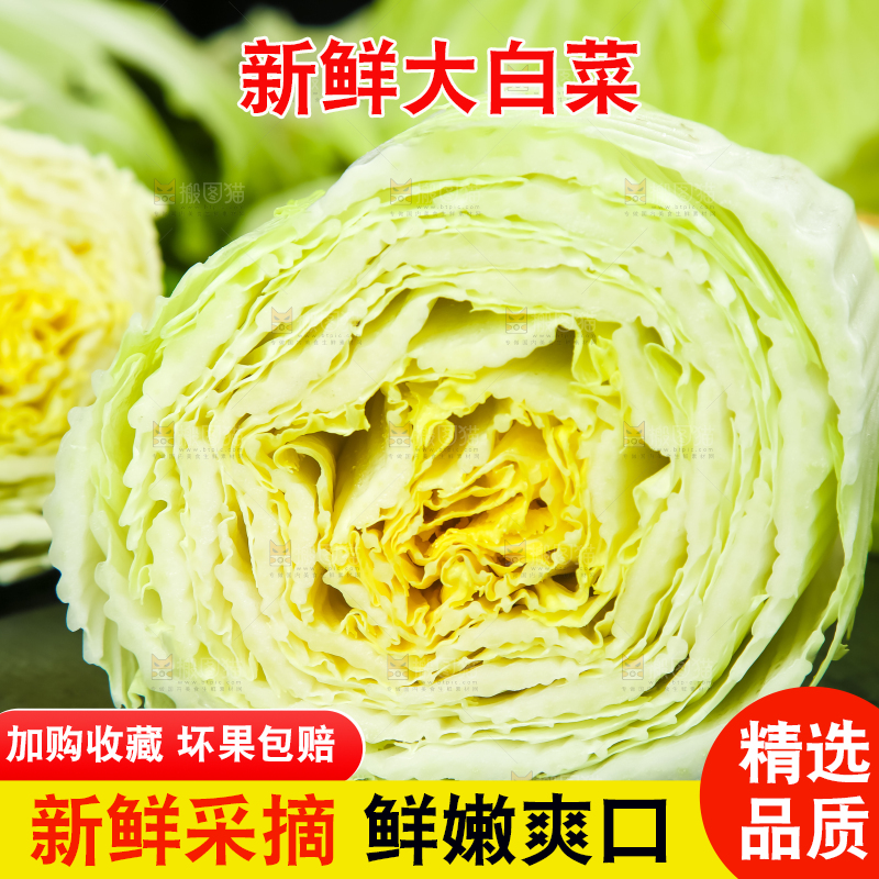 黑底上放着大白菜