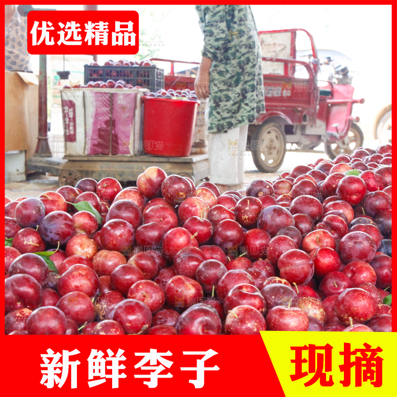 框子里装着红布林