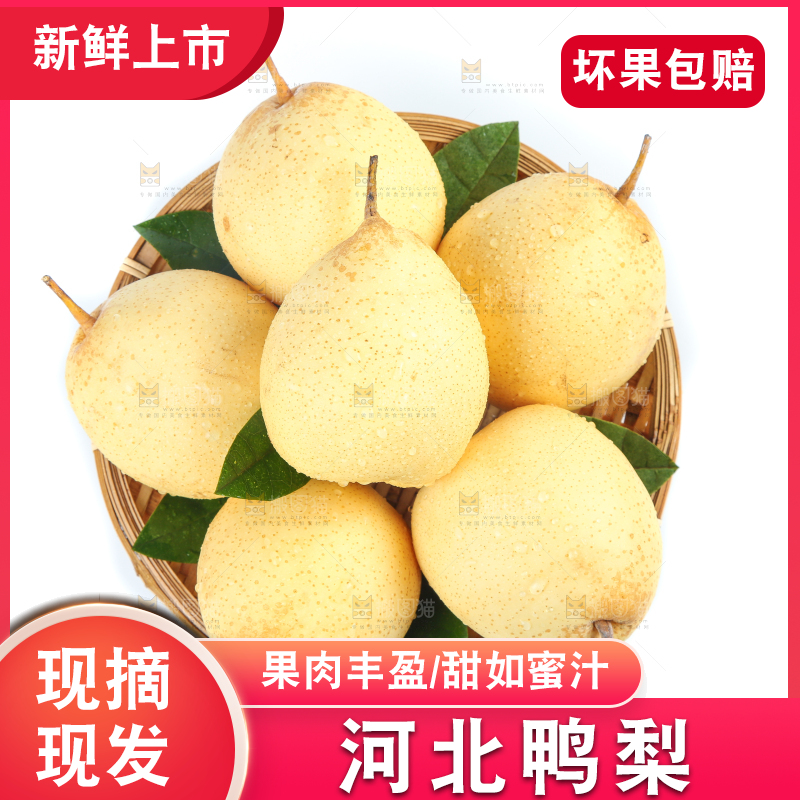 白底上摆放着鸭嘴梨