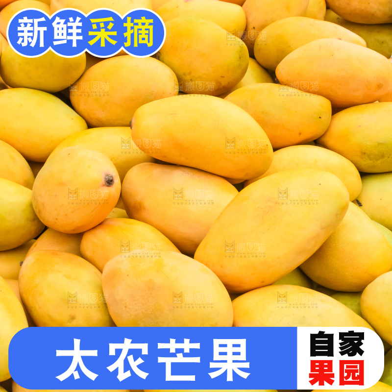 车子上的一堆芒果