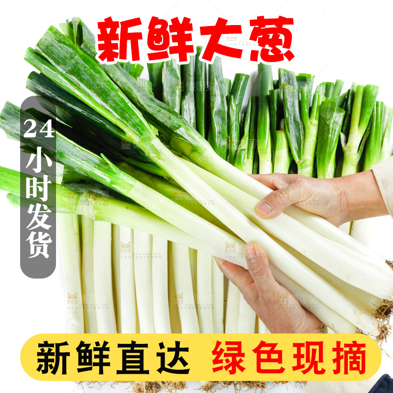 白底上的大葱