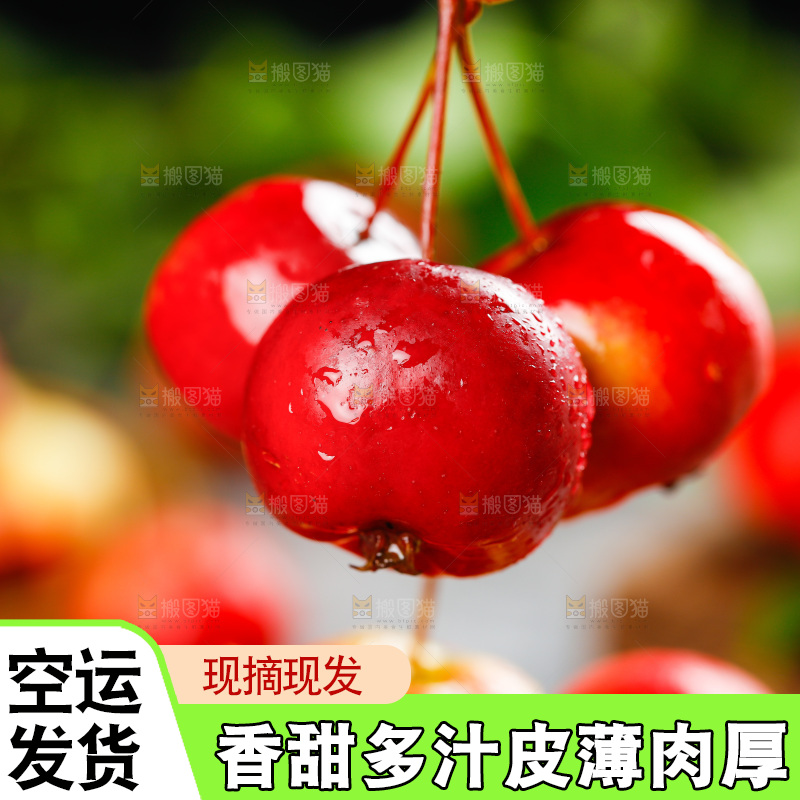 手拿新鲜的海棠果