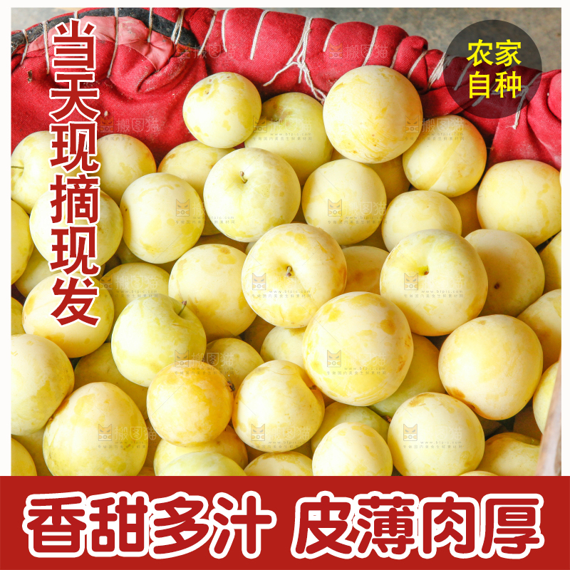 篮子里装着黄金奈李