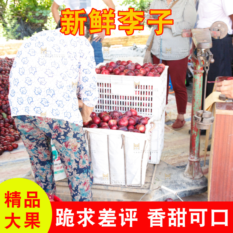 框子里装着红布林