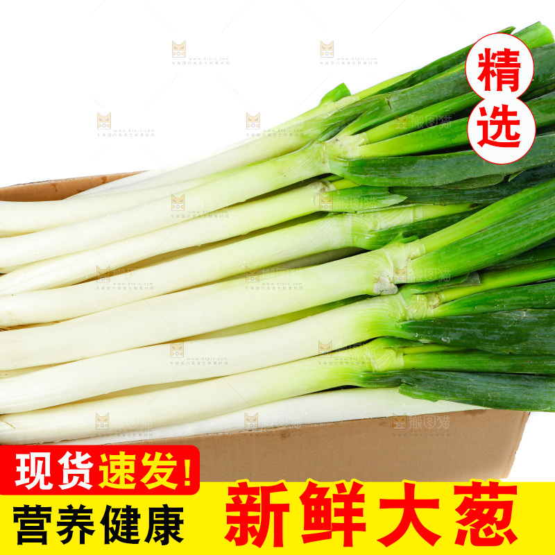 白底上的大葱