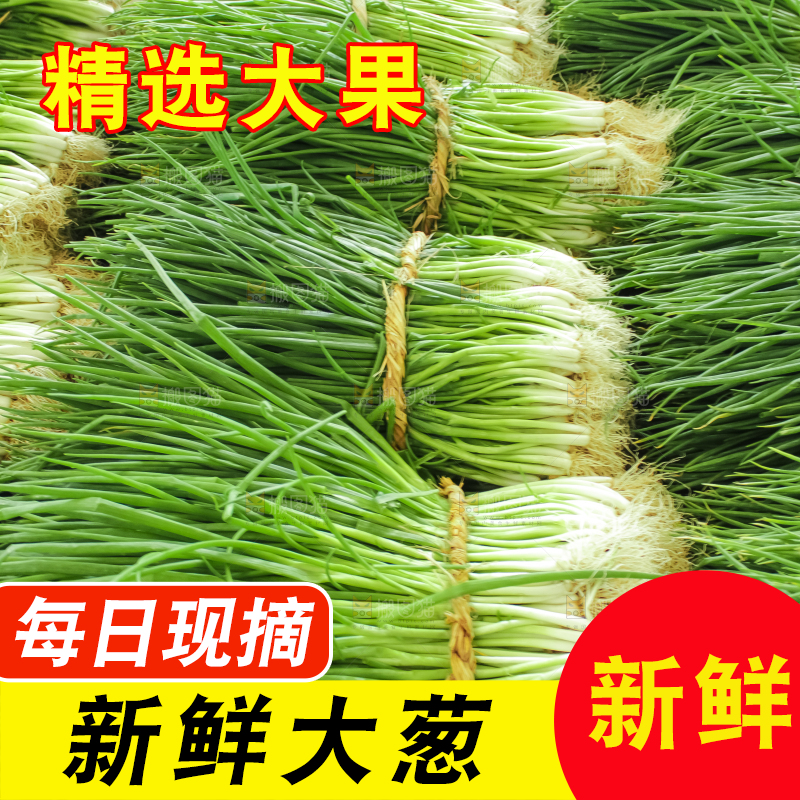 地上摆放着一堆大葱