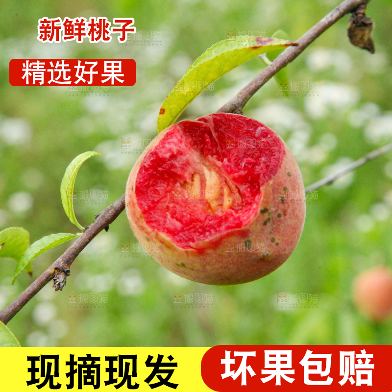 手里拿着桃子