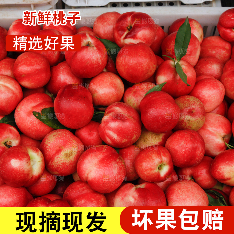 框子里装着油桃