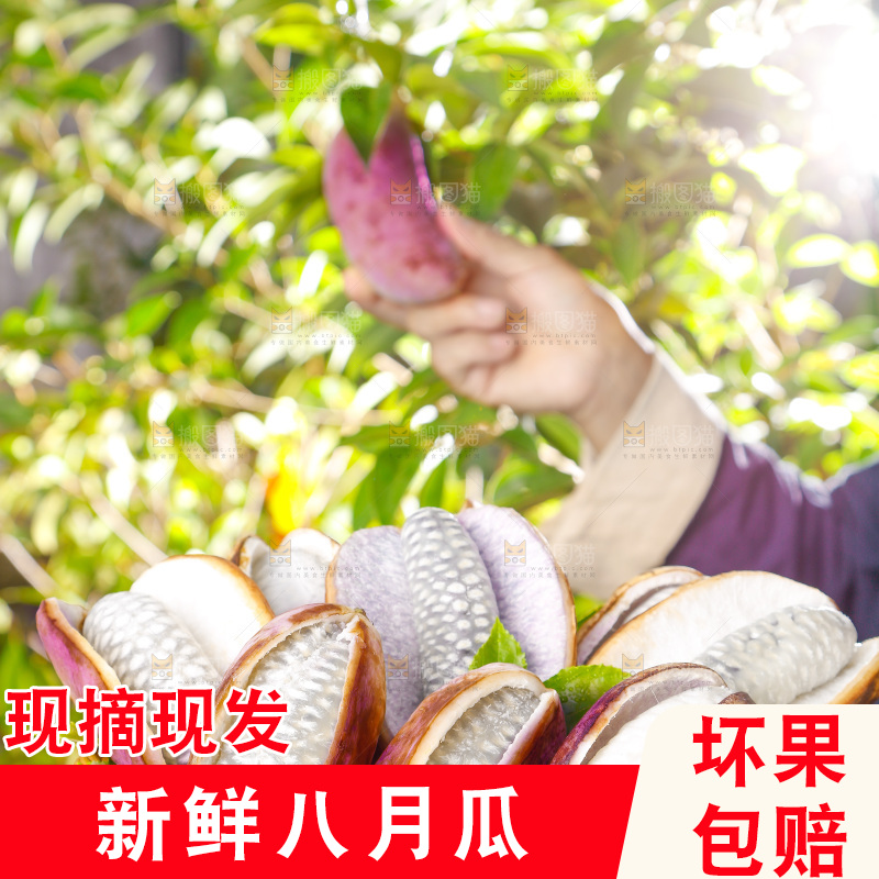 篮子里的八月炸