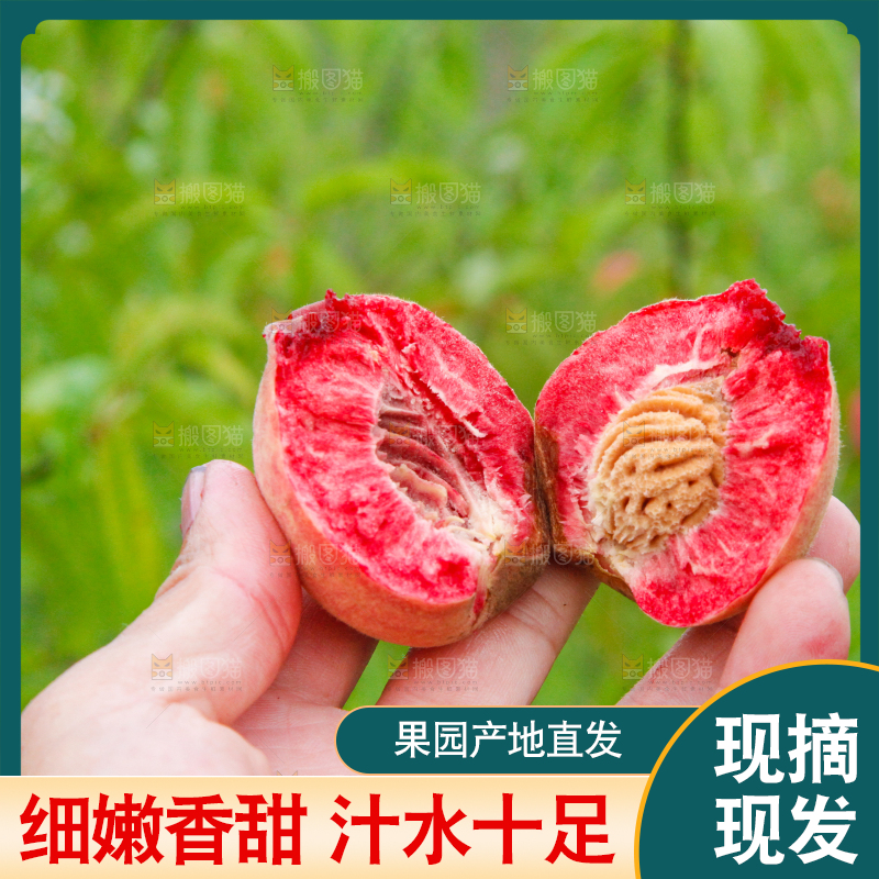 手里拿着桃子