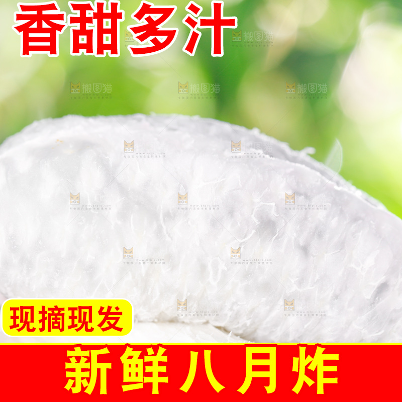 草地上的八月瓜
