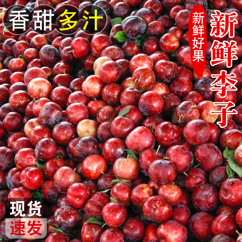 一堆红布林