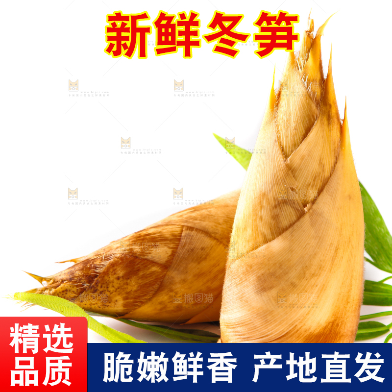 白底上摆放着冬笋
