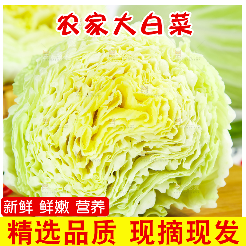 木底上放着新鲜大白菜