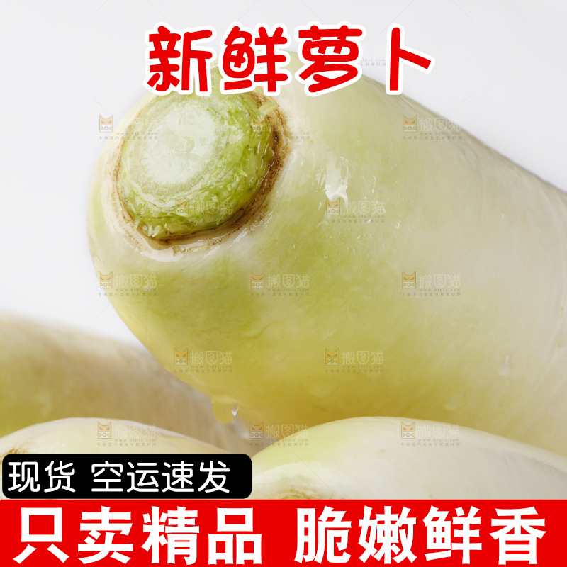 白底上放着萝卜