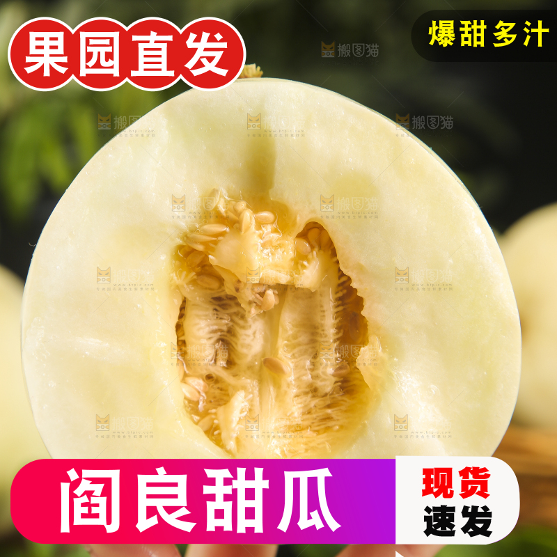 手里拿着掰开陕西阎良甜瓜