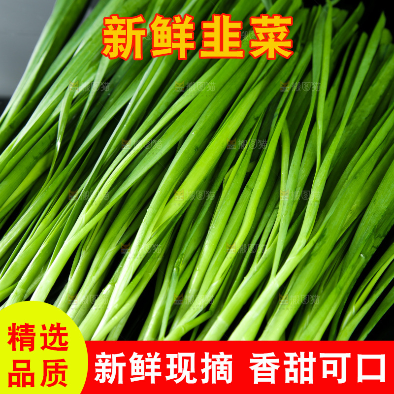 黑底上堆放着韭菜