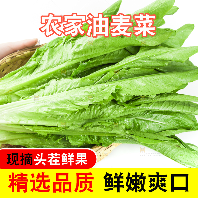 白底上的嫩油麦菜