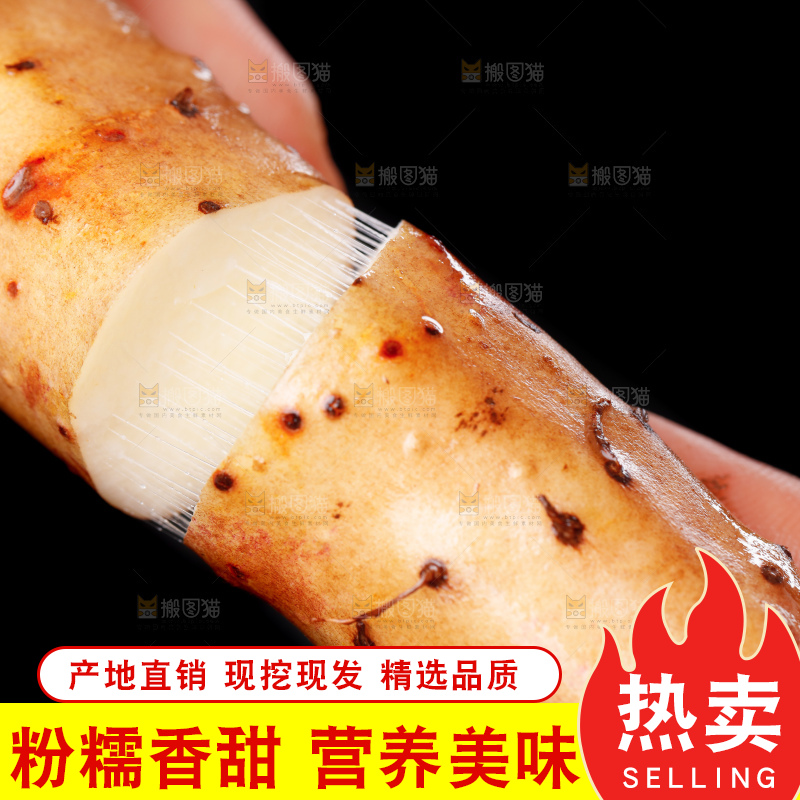 手里拿着小白嘴山药