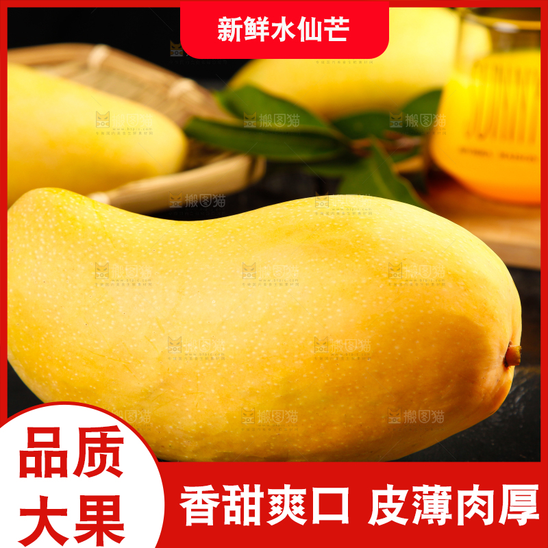 黑底上的水仙芒