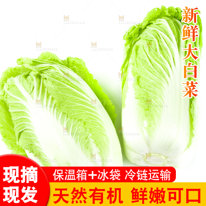 白底上的有机大白菜