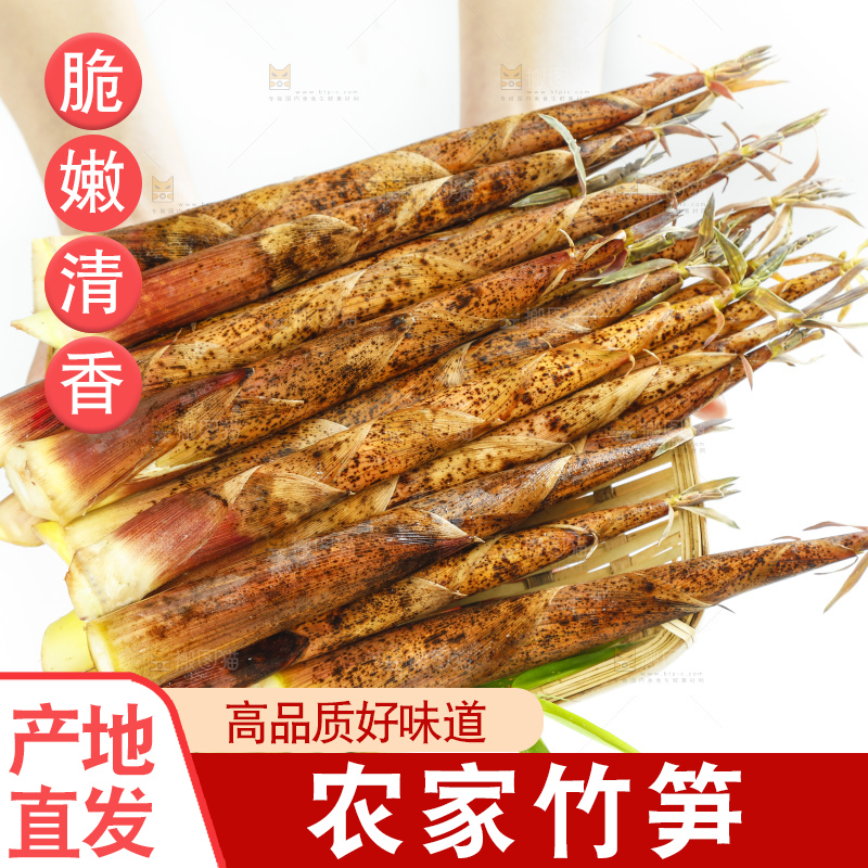 双手捧着竹篮里的竹笋