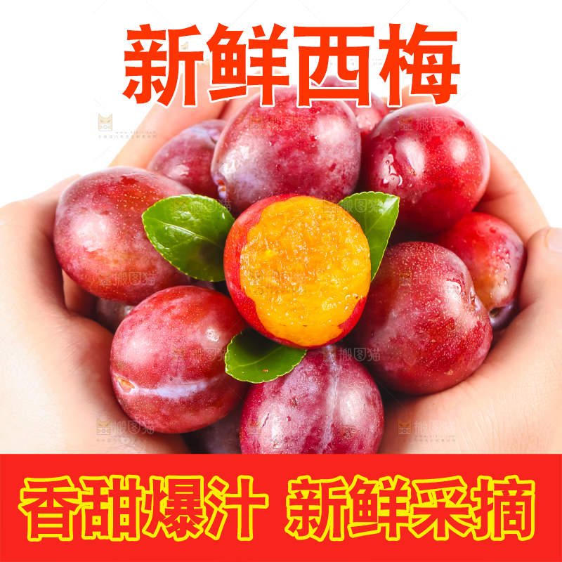 手拿着新鲜大西梅
